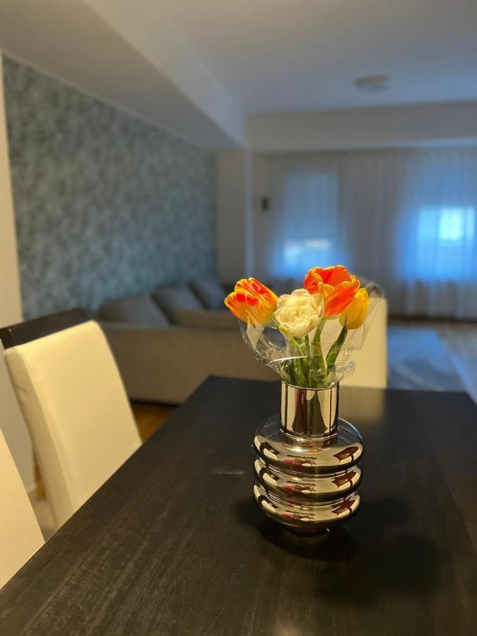 Iva Lux Stan Na Dan Apartment บันยาลูกา ภายนอก รูปภาพ